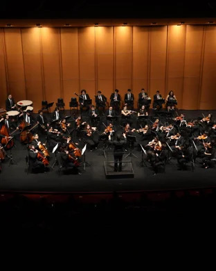 Disney's Frozen In Concert Bloomington