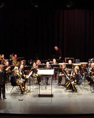 The Buena Vista Orchestra Indianapolis