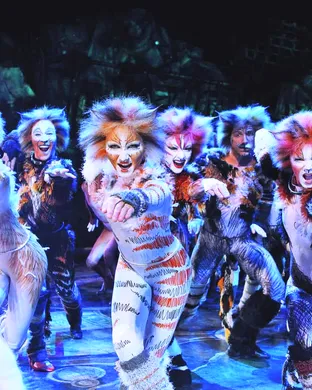 Cats - The Musical Indianapolis