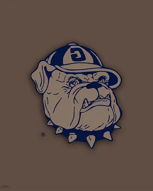 Georgetown Hoyas Washington
