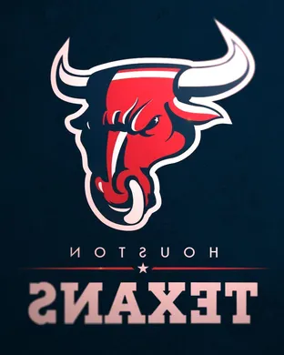 Houston Texans Houston