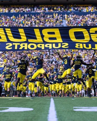 Michigan Wolverines Ann Arbor