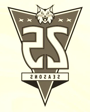 Minnesota Lynx Indianapolis