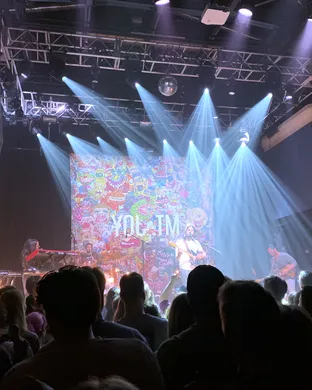Mt. Joy Indianapolis