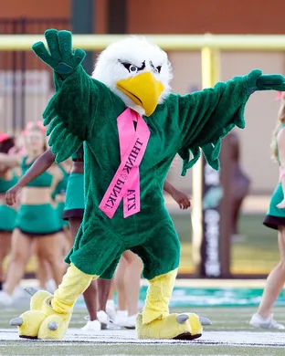 North Texas Mean Green Bloomington