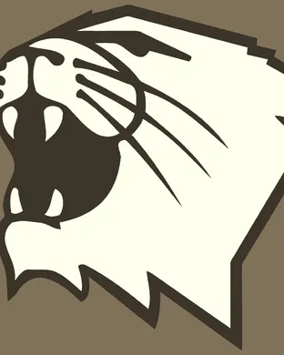 Northwestern Wildcats Football Bloomington