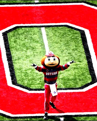 Ohio State Buckeyes Football Bloomington