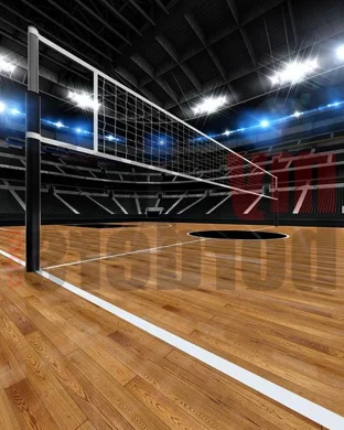 Washington Huskies Women's Volleyball Seattle